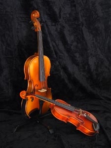 Groot aanbod violen bij muziekhandel te overijssel