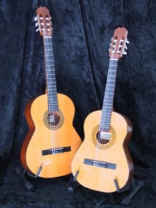 Spaanse gitaren van alle topmerken